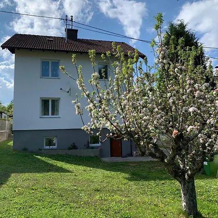 Lejlighed Dorfappartements Allee 11 Puchberg am Schneeberg