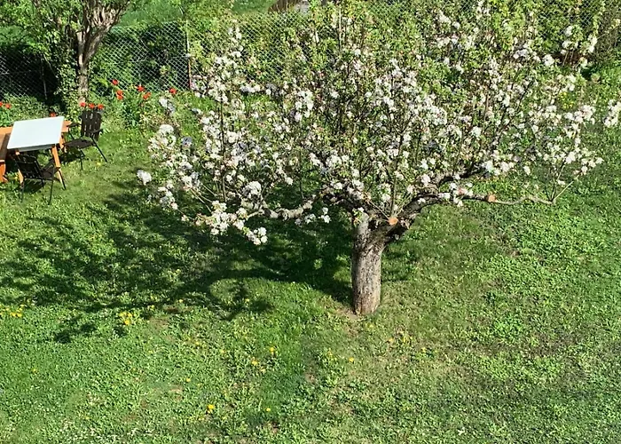 Dorfappartements Allee 11